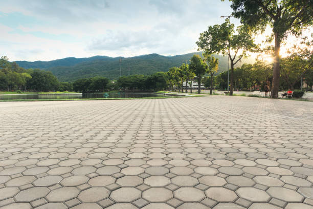 Decorative Driveway Pavers in Delevan, NY
