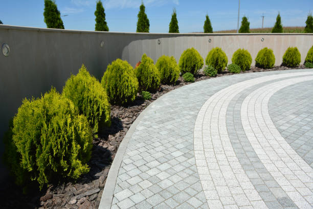Best Driveway Paving Contractor  in Delevan, NY